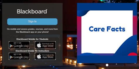 uis unor|my uic blackboard.